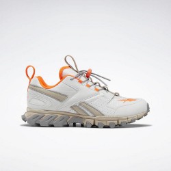 Reebok DMXpert Grey/Beige/Orange Women